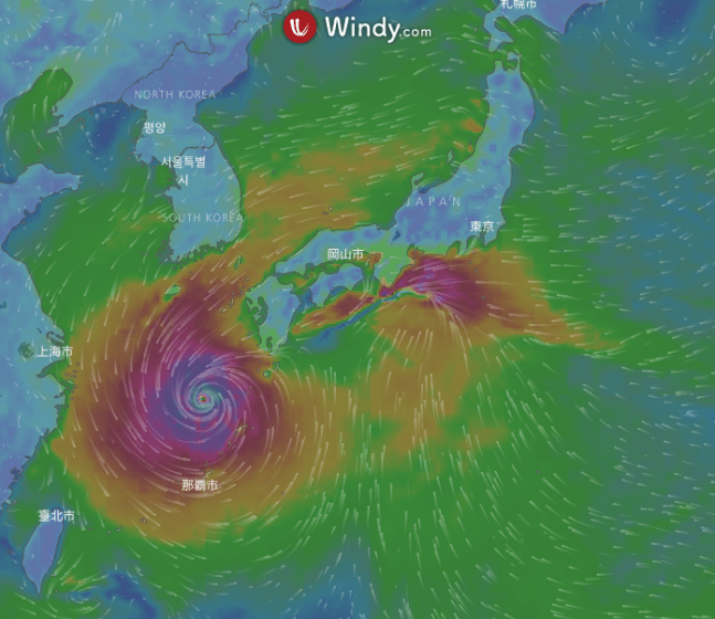 japon tifon talim_Ley Dominica