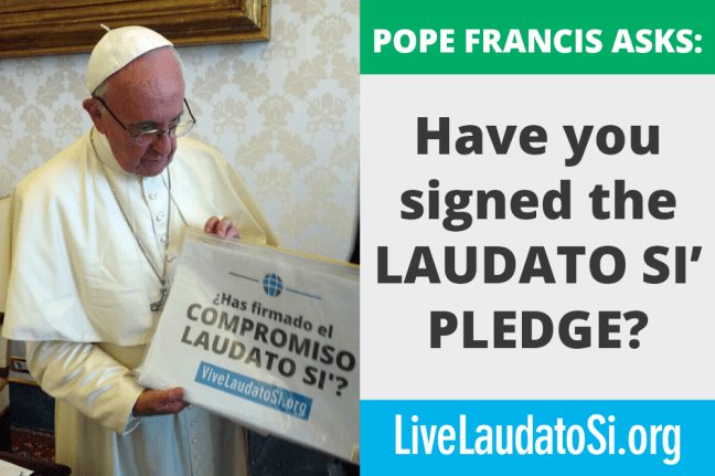 vive laudato si.png